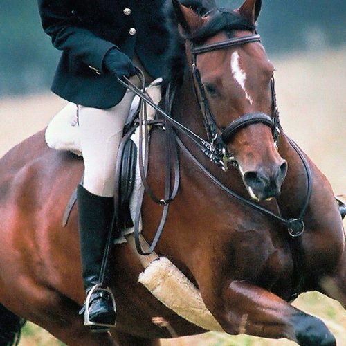 Sheepskin Horse Tack