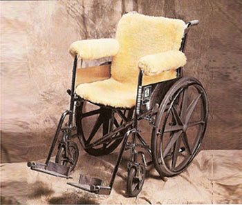 wheelchair cover