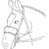 Cheek Strap Cover - Image 2