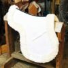 All Purpose Numnah with Complete Lining and Full Rolled Edge White
