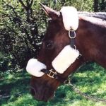 Bridle Cover Set - Poll, Nose, and Cheek Straps