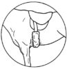 Girth Strap Cover Western 24" x 6" - Image 2