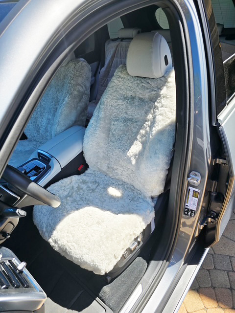 2025 bmw x5 gg
